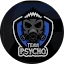 Team Psycho